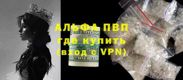 сатива Баксан