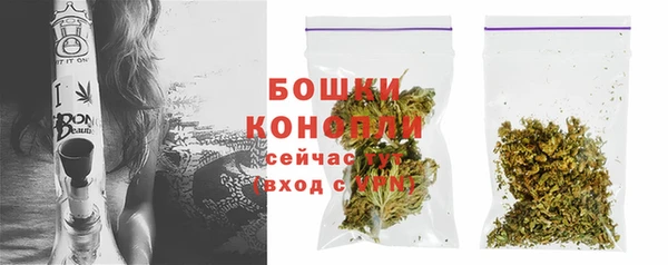 сатива Баксан