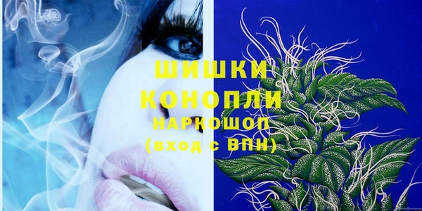 сатива Баксан