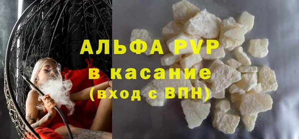 сатива Баксан